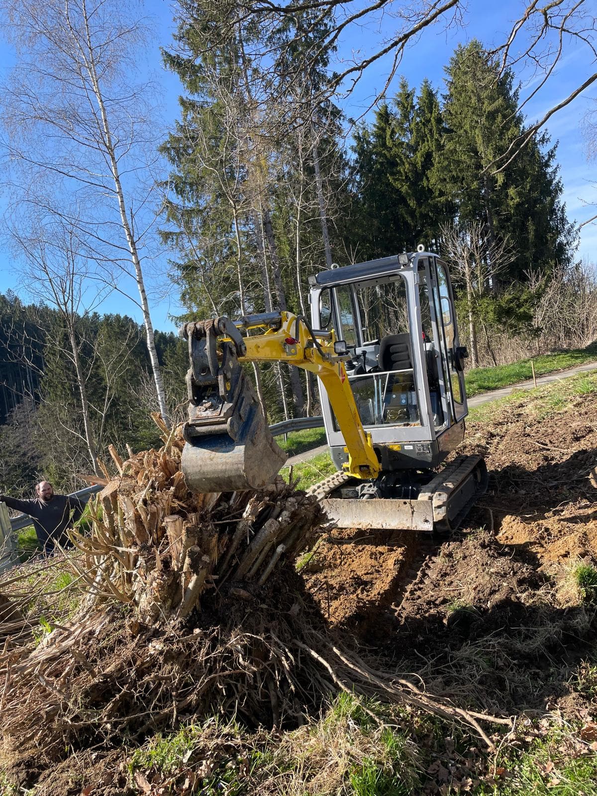 Minibagger bei der Entfernung eines großen Wurzelstocks